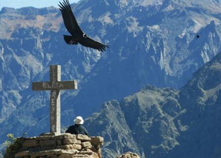 Colca Canyon Tour from Arequipa