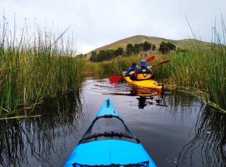 Kayak through Uros reeds.jpg