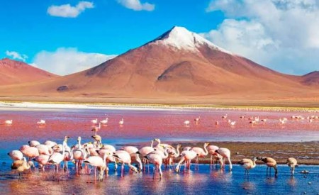 San Pedro de Atacama to Uyuni