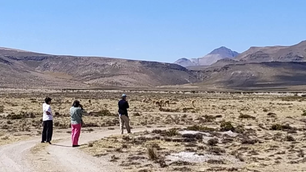 The high Andes plain on the way from Puno to Colca Canyon