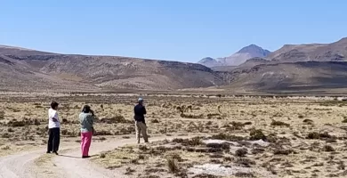 The high Andes plain on the way from Puno to Colca Canyon