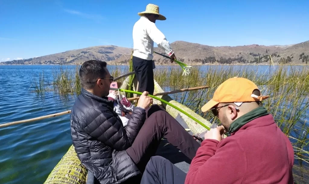 A local Uros man showing how to cut the reeds