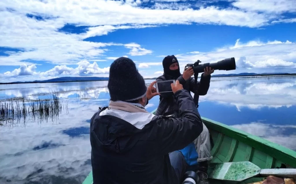 Looking for the birds in Lake Titicaca