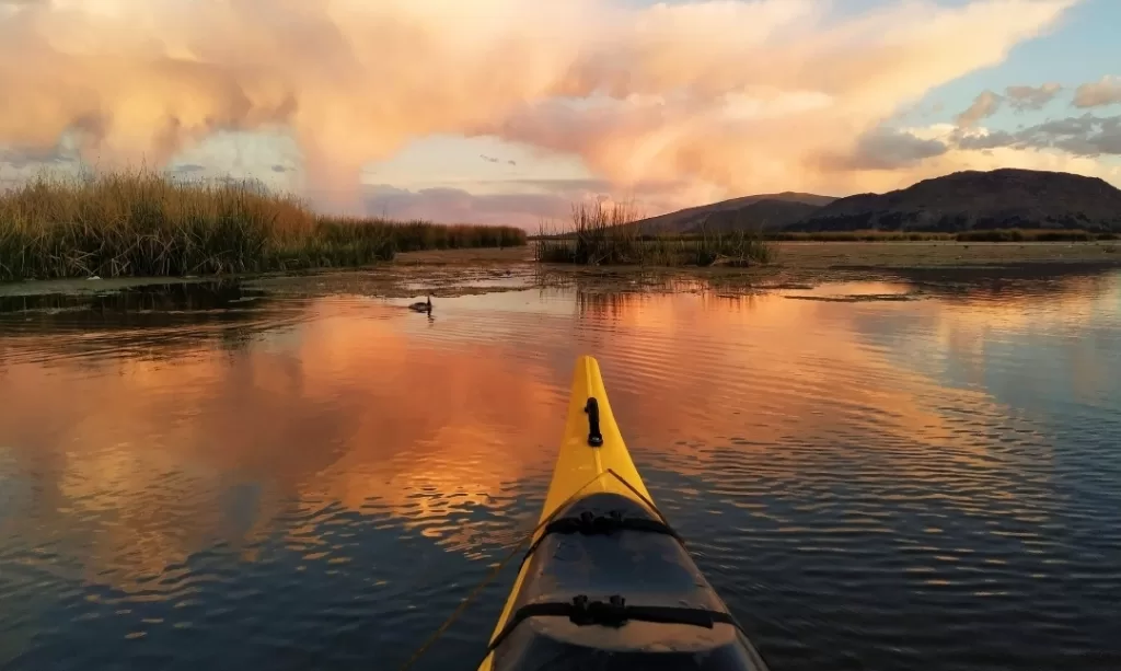 Watching birds from a kayak