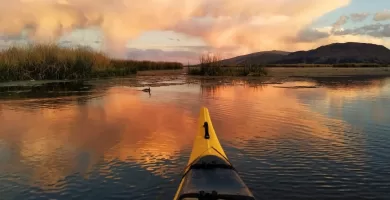 Watching birds from a kayak