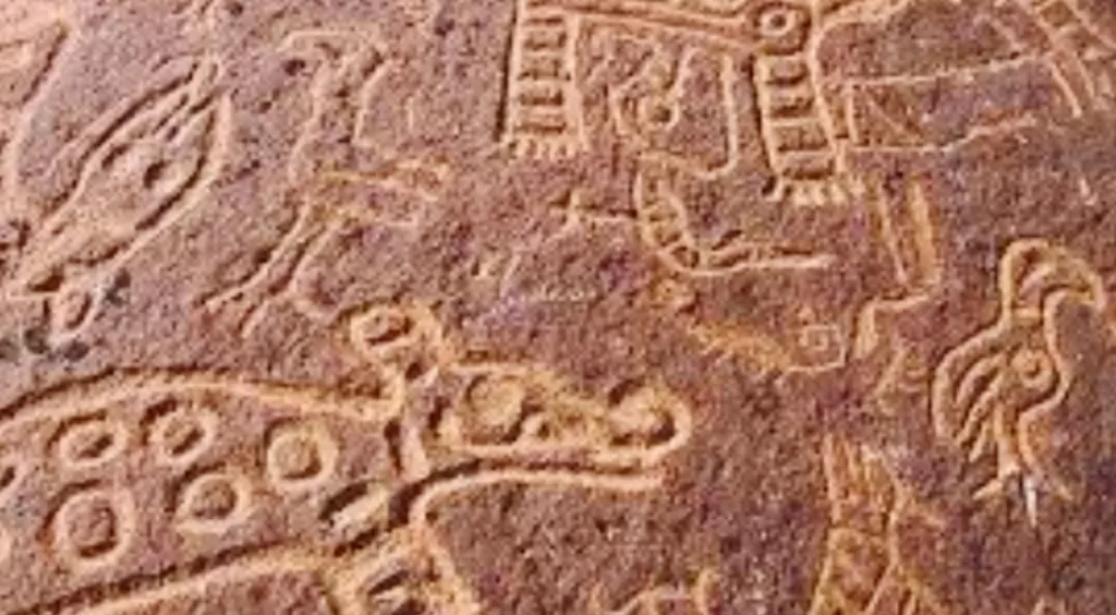 Ancient rock art with a variety of animals at Toro Muerto Petroglyphs in Arequipa