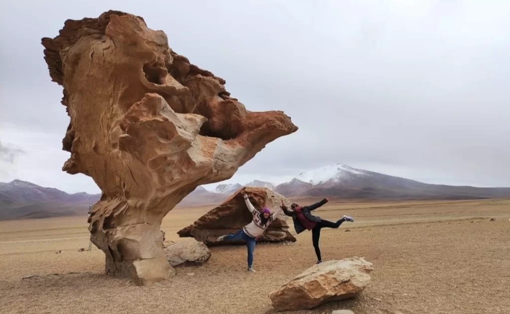 The stone tree in the middle of nowhere