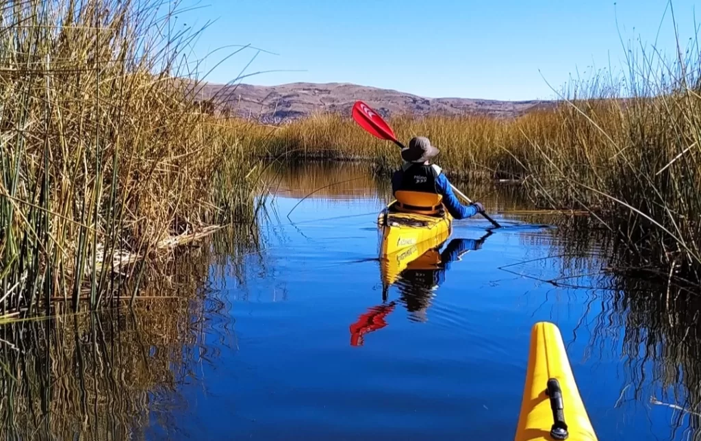 Going through the reeds and waterway