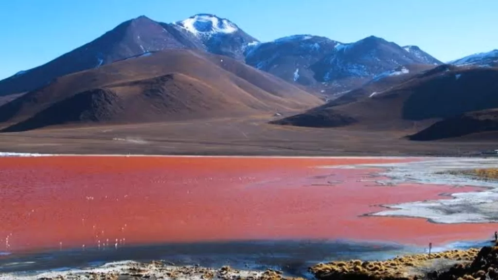 The colored lagoon in the Bolivian highland