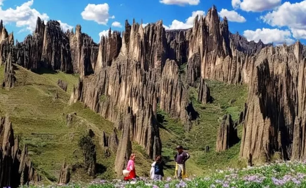 Palca Canyon Tour from La Paz