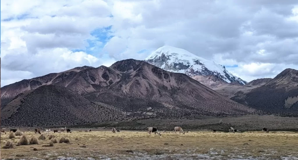 Sajama Tour from La Paz