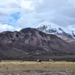 Sajama Tour from La Paz