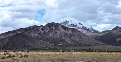 Sajama Tour from La Paz