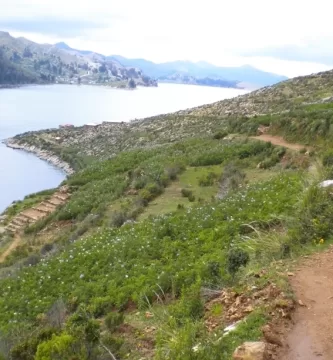 The ancient trail to Pilcocaina temple on Sun Island, Bolivia